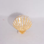 Load image into Gallery viewer, White Shell Hair Clip MeOcean