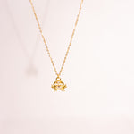 Load image into Gallery viewer, Cristal Clear Crab Necklace MeOcean