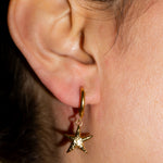 Load image into Gallery viewer, Sea Star Earrings MeOcean