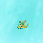 Load image into Gallery viewer, Lipaz Earrings MeOcean