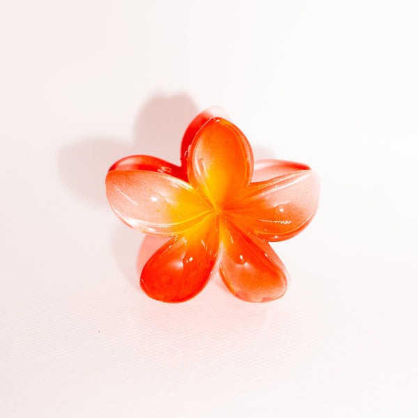 Hawaii Red Flower Clip MeOcean