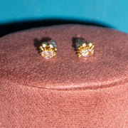 Cristal Clear Crab Earrings MeOcean