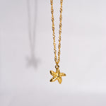 Load image into Gallery viewer, Sea Star Necklace MeOcean
