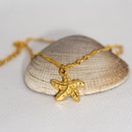 Load image into Gallery viewer, Sea Star Necklace MeOcean
