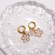 White Flower Bloom MeOcean