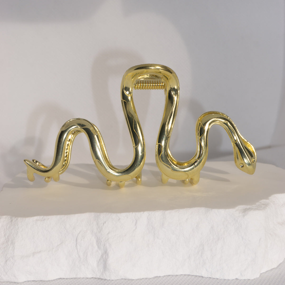 Swirly Snake Hair clip