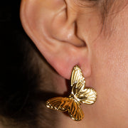 Fairy Butterfly MeOcean