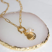 Treasure Shell MeOcean